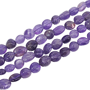 2 Strands Natural Amethyst Beads Strands, Grade A, Oval, 8~15x7~12x4~12mm, Hole: 1mm, about 30~45pcs/strand, 15.7 inch(39.88cm)(G-NB0004-31)