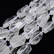 Natural Gemstone Quartz Crystal Beads Strands, Rock Crystal Beads, Nuggets, 20~45x10~25mm, Hole: 2mm, about 10~12pcs/strand, 15.74 inch(G-L159-09)
