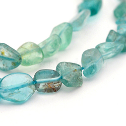 Natural Apatite Bead Strands, Tumbled Stone, Nuggets, 5~19x4~9x3~9mm, Hole: 0.5~1mm, about 15.7 inch(G-J280-03)