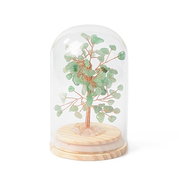 Natural Green Aventurine Chips Money Tree in Dome Glass Bell Jars with Wood Base Display Decorations, for Home Office Decor Good Luck, 71x114mm