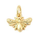 Brass Pendants, Moth Charms, Long-Lasting Plated, Rack Plating, Lead Free & Cadmium Free, Real 18K Gold Plated, 8.5x11x2mm, Jump Ring: 5x0.8mm, Inner Diameter: 3.4mm(KK-H267-075G)