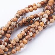 Gemstone Beads Strands, Natural Picture Jasper, Round, about 4mm in diameter, hole: about 0.8mm, 15~16 inch(GSR4mmC016)
