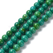 Natural Howlite Beads Strands, Dyed, Round, 8~8.5mm, Hole: 1.4mm, about 49pcs/strand, 15.35''(39cm)(G-E604-B05-B)
