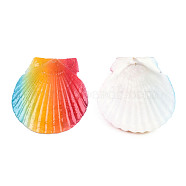 Printed Natural Freshwater Shell Big Pendants, Shell Charm, Colorful, None Pattern, 55~75x52~70x6~8mm, Hole: 1.4mm(SHEL-N032-235-01)