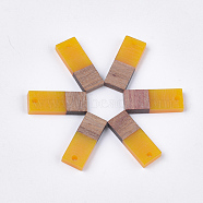 Resin & Walnut Wood Pendants, Rectangle, Gold, 22.5~23x8.5~9x3.5mm, Hole: 2mm(RESI-S358-79K)
