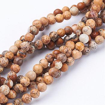 Gemstone Beads Strands, Natural Picture Jasper, Round, about 4mm in diameter, hole: about 0.8mm, 15~16 inch