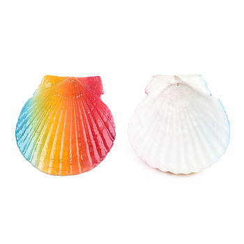 Printed Natural Freshwater Shell Big Pendants, Shell Charm, Colorful, None Pattern, 55~75x52~70x6~8mm, Hole: 1.4mm