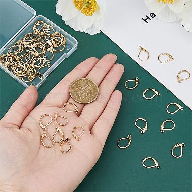 60Pcs 304 Stainless Steel Leverback Earrings Findings(STAS-DC0015-92)-3