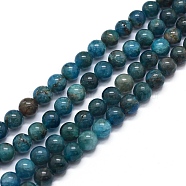 Natural Apatite Beads Strands, Round, 6mm, Hole: 1mm, about 64pcs/strand, 15.7 inch(40cm)(X-G-F591-01-6mm)