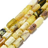 Natural Yellow Opal Beads Strands, Faceted, Column, 10~11x6~7x6~7mm, Hole: 1mm, about 33pcs/strand, 16.73 inch(42.5cm)(G-K245-T01-01)