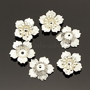 5-Petal Iron Flower Bead Caps, Silver Color Plated, 17x4mm, Hole: 1mm(X-KK-O016-08)