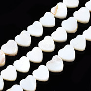 Natural Freshwater Shell Beads Strands, Heart, 8x8x3mm, Hole: 0.8mm, about 44pcs/strand, 14.37 inch(36.5~37cm)(X-SHEL-N026-152)