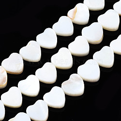 Natural Freshwater Shell Beads Strands, Heart, 8x8x3mm, Hole: 0.8mm, about 44pcs/strand, 14.37 inch(36.5~37cm)(X-SHEL-N026-152)