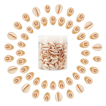 SUNNYCLUE Natural Mixed Cowrie Shell Beads, Cowrie Shells, PapayaWhip, 18~20x13~14x6~8mm, about 200g/box