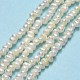 Natural Cultured Freshwater Pearl Beads Strands(PEAR-A005-23-01)-2