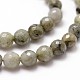 Natural Labradorite Beads Strands(X-G-D840-10-6mm)-3