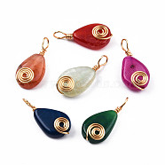 Natural Agate Pendants, with Light Gold Plated Brass Findings, Teardrop Charm, Dyed & Heated, Mixed Color, 27~29x12.5~13.5x6~7mm, Hole: 4mm(G-N326-137)