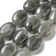 Natural Labradorite Beads Strands, Flat Oval, 18~18.5x13~13.5x6~6.5mm, Hole: 1.2mm, about 11pcs/strand, 7.76 inch(19.7cm)(G-P528-M10-01)