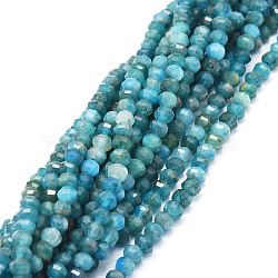 Natural Apatite Beads Strands, Faceted, Rondelle, 3.5~4x3mm, Hole: 0.7mm, about 124pcs/strand, 15.35''(39cm)(G-E569-B03)
