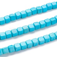 Synthetic Turquoise Beads, Dyed, Cube, 4.5x4.5x4.5mm, Hole: 1.4mm, about 84pcs/strand, 15.24 inch(38.7cm)(TURQ-F016-01)