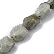 Natural Labradorite Beads Strands, Faceted, Nuggets, 16~17x11~13x11~13mm, Hole: 1.5mm, about 13pcs/strand, 8.46~8.58 inch(21.5~21.8cm)(G-F743-04D)