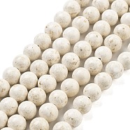 Natural Fossil Beads Strands, Round, Floral White, 10mm, about 39pcs/strand(G-H026-02C)