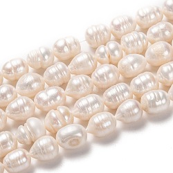 Natural Cultured Freshwater Pearl Beads Strands, Rice, Bisque, 12~17x10~12mm, Hole: 0.8mm, about 27pcs/strand, 14.17 inch(36cm)(PEAR-L033-87-01)