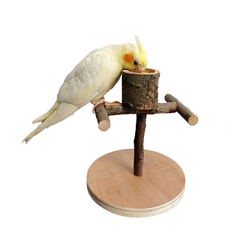 Wood Bird Playground with Feeder Cup, Large Parrot Playstand, Bird Perch Stand, Bird Gym Playground Playpen for Cockatiel Parakeet Parrot, Coconut Brown, 150x150x180mm