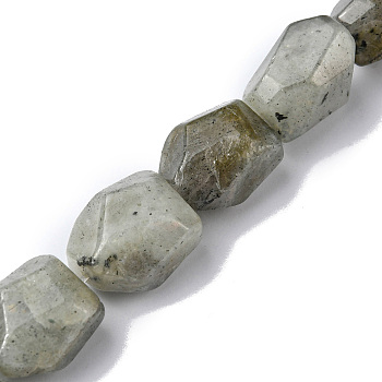 Natural Labradorite Beads Strands, Faceted, Nuggets, 16~17x11~13x11~13mm, Hole: 1.5mm, about 13pcs/strand, 8.46~8.58 inch(21.5~21.8cm)