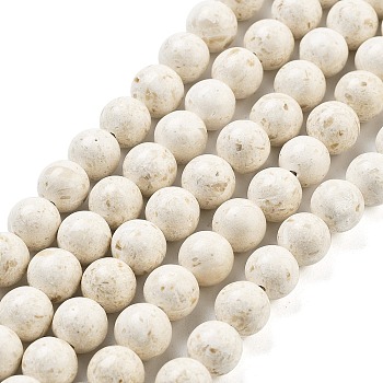 Natural Fossil Beads Strands, Round, Floral White, 10mm, about 39pcs/strand