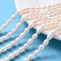 Natural Cultured Freshwater Pearl Beads Strands, Oval, Beige, 8~10x5.5~7mm, Hole: 0.8mm, about 42pcs/strand, 13.6 inches(34.5cm)(PEAR-F007-70)