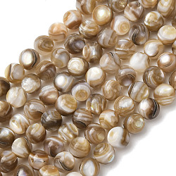 Natural Freshwater Shell Beads Strands, Round, Smooth, Camel, 6mm, Hole: 0.7mm, about 66pcs/strand, 14.96''(38cm)(SHEL-K006-71A)