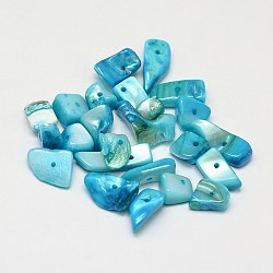 Dyed Natural Freshwater Shell Nuggets Beads, Light Sky Blue, 10~20x5~15mm, Hole: 1mm, about 33pcs/50g(X-SHEL-O001-13C)
