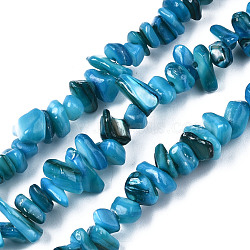 Natural Freshwater Shell Beads Strands, Dyed, Chips, Deep Sky Blue, 2~6x4~14x4.5~8.5mm, Hole: 0.7~0.8mm, about 258~292pcs/strand, 31.10 inch~32.05 inch(79cm~81.4cm)(SHEL-S278-070F)