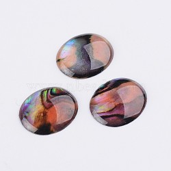 Oval Abalone Shell/Paua Shell Cabochons, Colorful, 12x10x1.5~2mm(SSHEL-K002-12x10mm-03)