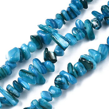 Natural Freshwater Shell Beads Strands, Dyed, Chips, Deep Sky Blue, 2~6x4~14x4.5~8.5mm, Hole: 0.7~0.8mm, about 258~292pcs/strand, 31.10 inch~32.05 inch(79cm~81.4cm)