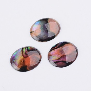 Oval Abalone Shell/Paua Shell Cabochons, Colorful, 12x10x1.5~2mm
