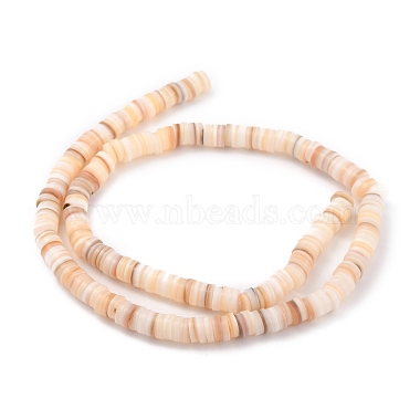 Perles en coquillage naturel(BSHE-B003-13B-02)-2
