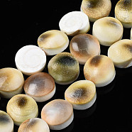 Natural Trumpet Shell Bead Strands, Flat Round, Coffee, 15~16x7~11mm, Hole: 1mm, about 12pcs/strand, 7.09 inch(18cm)(SSHEL-N034-113)