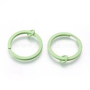 Spray Painted Iron Split Key Rings, Keychain Clasp Findings, Lead Free & Nickel Free, Pale Green, 30x2mm, Inner Diameter: 24mm(IFIN-L038-02-FF)