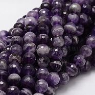 Faceted Round Natural Chevron Amethyst Bead Strands, 8mm, Hole: 1mm, about 50pcs/strand, 15.3 inch(G-L437-22-8mm)