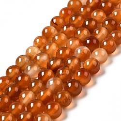 Natural Carnelian Beads Strands, Round, 8mm, Hole: 0.7mm, about 48pcs/strand, 14.96 inch(38cm)(X-G-F718-07)
