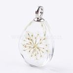 Glass Dried Flower Pendants, with Brass Findings, Oval, Platinum, Old Lace, 30x18x11mm, Hole: 3.5mm(GLAA-K018-E)