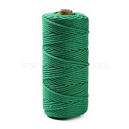 Cotton String Threads for Crafts Knitting Making, Teal, 3mm, about 109.36 Yards(100m)/Roll(KNIT-PW0001-01-04)