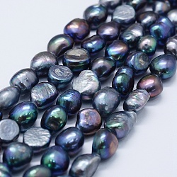 Natural Cultured Freshwater Pearl Beads Strands, Potato, Midnight Blue, 11~12x11~12x8~9mm, Hole: 0.2mm, about 30pcs/strand, 14.1 inch(PEAR-K004-05D-01)