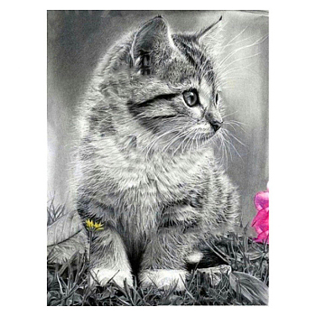 DIY Cat Diamond Painting Kits, including Canvas, Resin Rhinestones, Diamond Sticky Pen, Tray Plate and Glue Clay, Cat, Gray, 400x300mm
