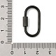 Ion Plating(IP) 304 Stainless Steel Screw Carabiner Lock Charms(STAS-H107-04D-B)-3