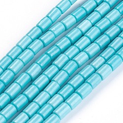 Synthetic Howlite Beads Strands, Dyed, Column, Turquoise, 5~5.5x3.5mm, Hole: 0.8mm, about 31pcs/strand, 6.1 inch(15.5cm)(G-F647-12A)