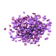 Shell Beads, No Hole Beads, Dyed, Chip, Medium Purple, 4.5~9.5x3~6x1.5~3.5mm(SHEL-XCP0001-02)