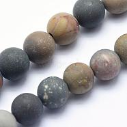 Natural Ocean Agate/Ocean Jasper Beads Strands, Frosted, Round, 8mm, Hole: 1mm, about 47pcs/strand, 15.3 inch(39cm)(G-G716-02-8mm)